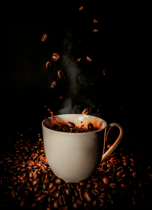 Engineering team at coffee processing facility